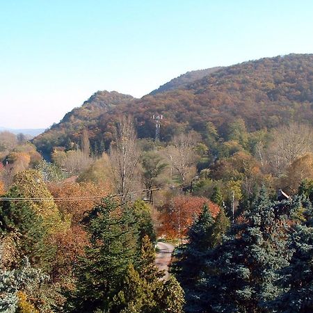 Vadregeny Panzio Bed and Breakfast Esztergom Exteriör bild