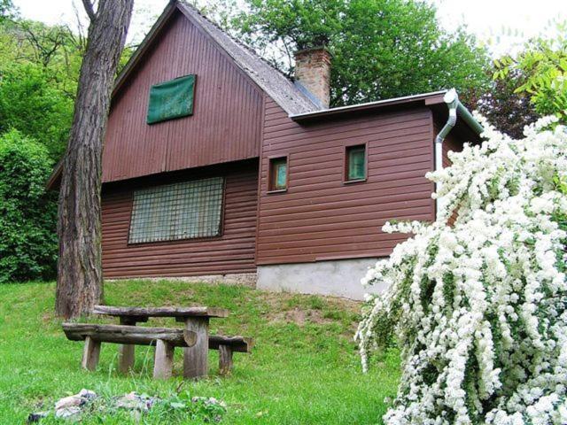 Vadregeny Panzio Bed and Breakfast Esztergom Rum bild