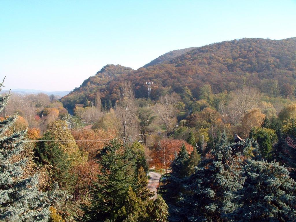 Vadregeny Panzio Bed and Breakfast Esztergom Exteriör bild